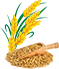 |Z